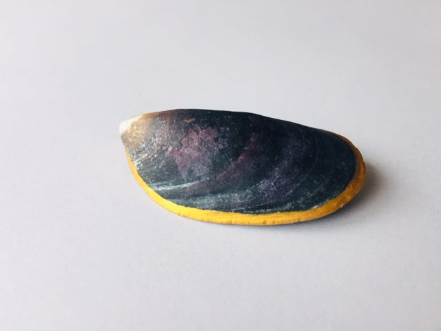 Brooch "Mara"
