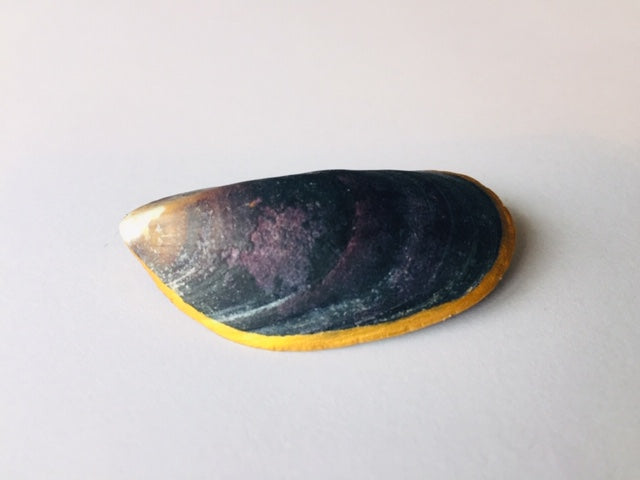 Brooch "Mara"