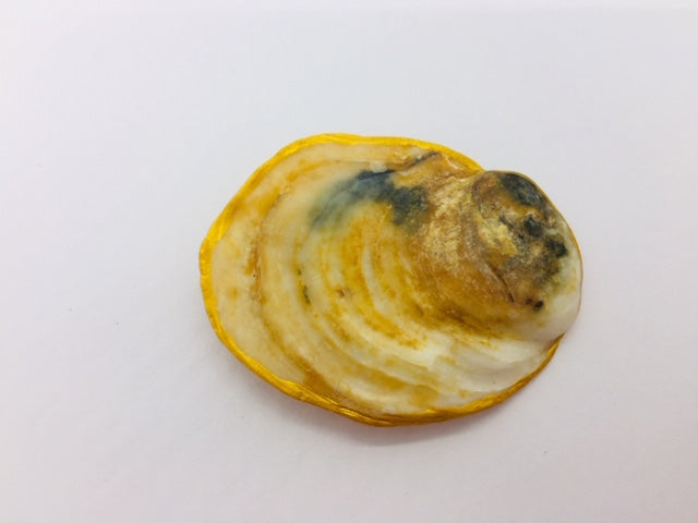 Brooch "Monica"