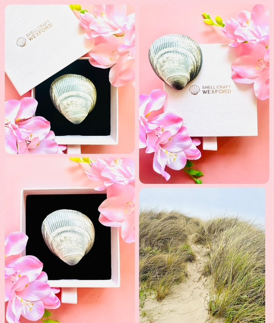Brooch "Tide Gift"