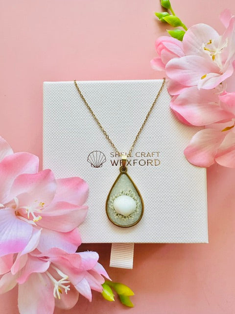 Seashell Shine Necklace - White/Gold