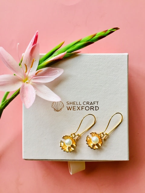 Open Shell Earrings  (Gold Colour)